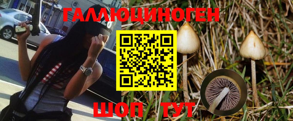 Псилоцибиновые грибы Psilocybe  Галлюциногенные грибы мицелий  Вход с VPN  Карпинск 